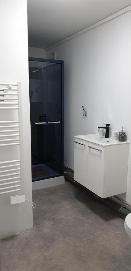 Studio, chambres, appartement, gite Vendegies-sur-Ecaillon Exterior foto